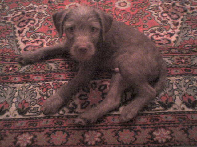 DSC00001.JPG