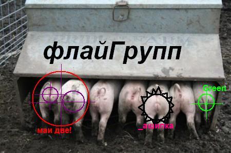 флай_гриБП_пиши с буквай_Ю.JPG