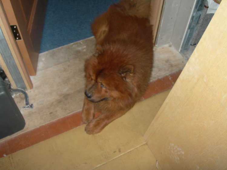 DSCN6703.JPG