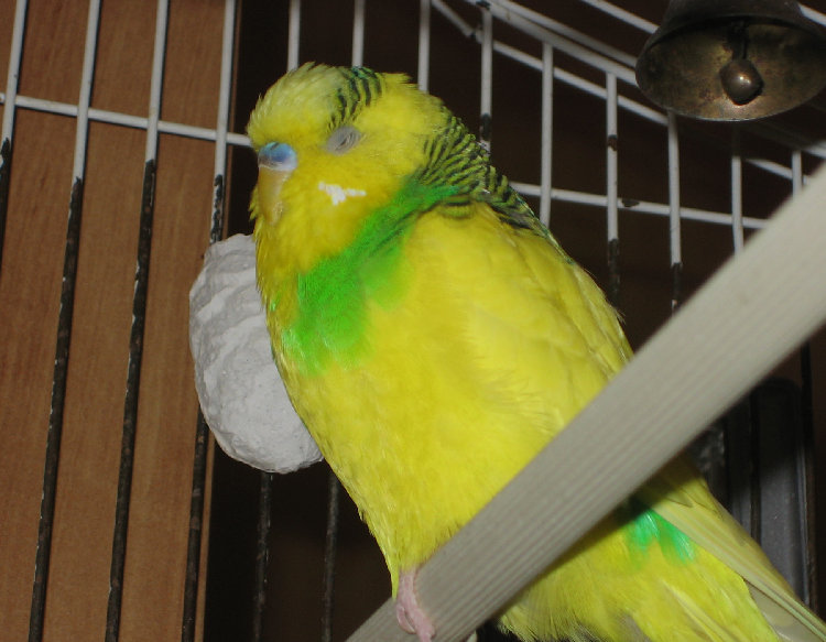 Копия IMG_1319.JPG