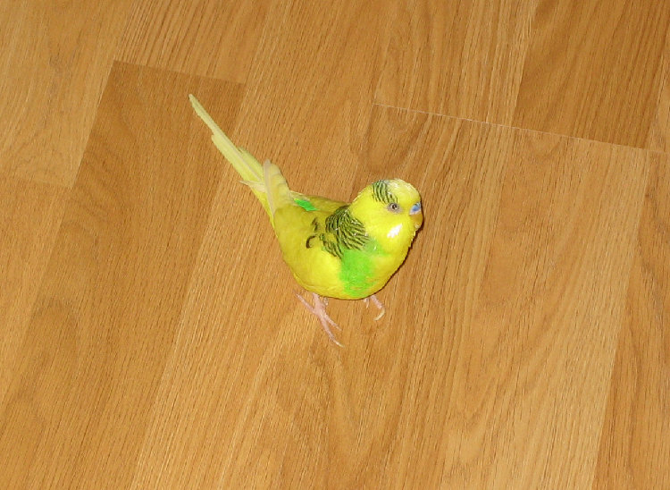 Копия IMG_1385.JPG