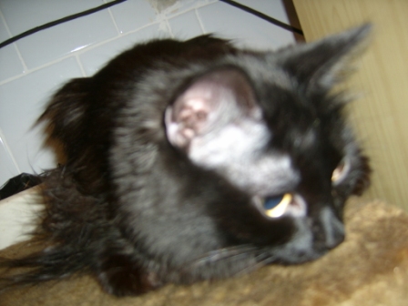 S3600027.JPG