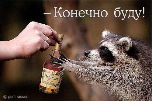 1169688220_27_pics.jpg