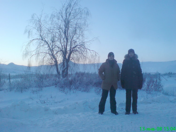 дерево.jpg