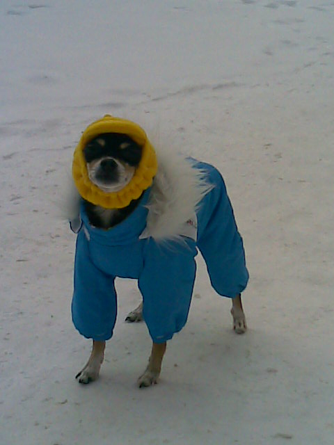 09022008.jpg
