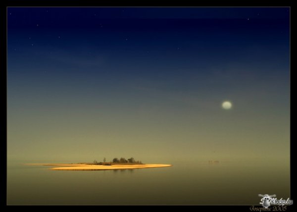 1204431868_16.jpg