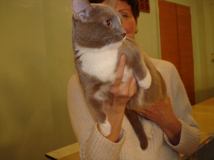 DSC01349.JPG