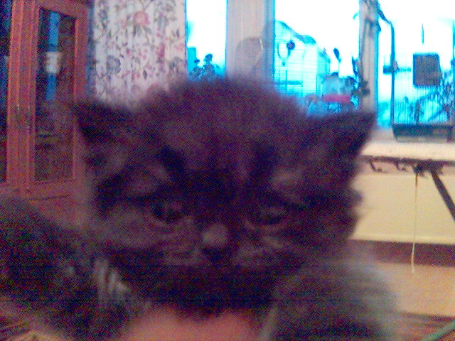 Картинка(17).jpg