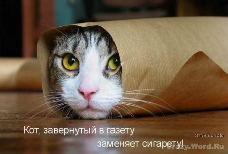 1204692460_2.jpg