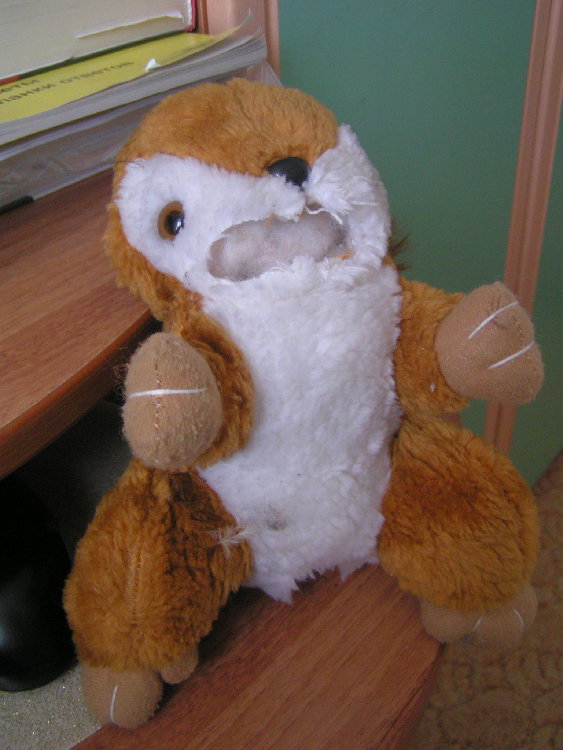 PICT0003.jpg