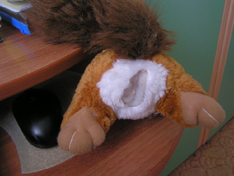 PICT0004.jpg