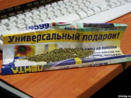 1205687973_temp_02.jpg