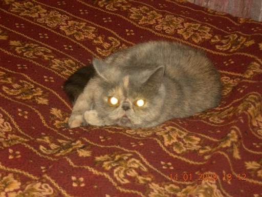 DSCN0937.JPG