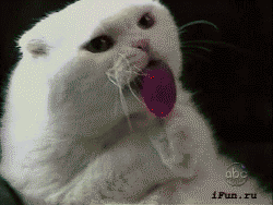 LXETX13gwy.gif