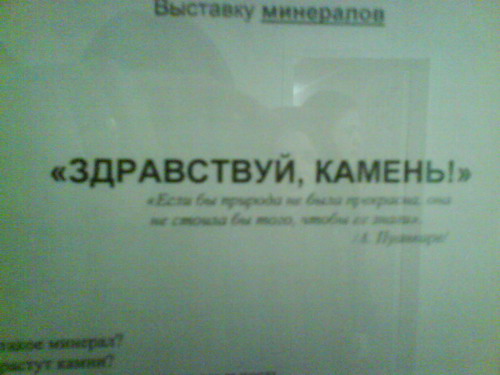 16926255.jpg
