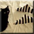 1189179834_1187152656_thumb_1175220252_e1fa767b97b91256ecf83aac25a2c5875b15d.gif