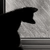 1206775350_dozhdik.gif