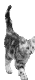 w_117.gif