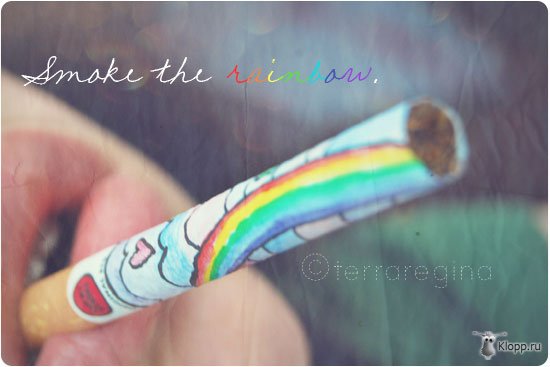 1207659099_too_cute_to_smoke_by_terraregina.jpg