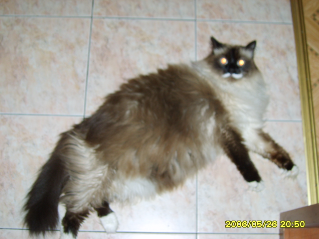 SV200279.JPG
