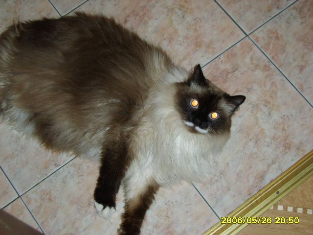 SV200277.JPG