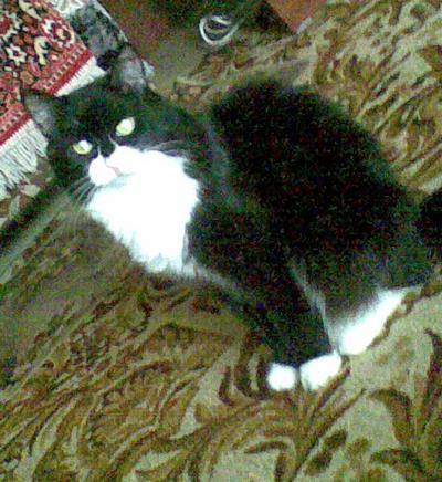 14042008(001).jpg