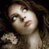 foto_17815.gif