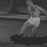 17067_prev_98.gif