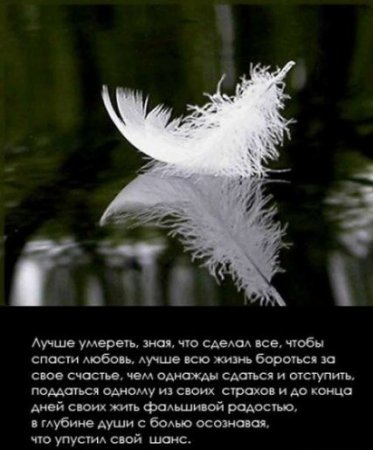 1210063320_1198262000_love_200.jpg