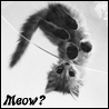 15048_prev_98.gif