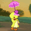 149.gif