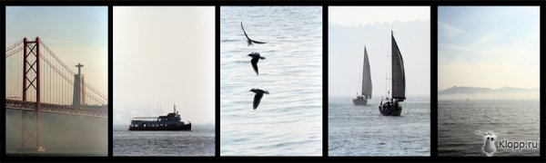 1209707836_tejo_by_carfax_in_flames.jpg