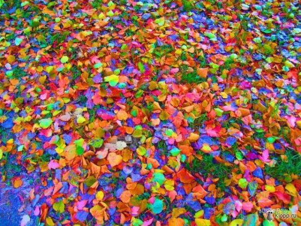 1210167804_pazitiv-4.jpg
