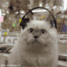 5.gif