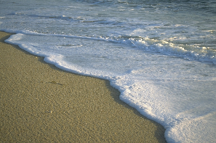nature072.jpg