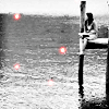 263.gif
