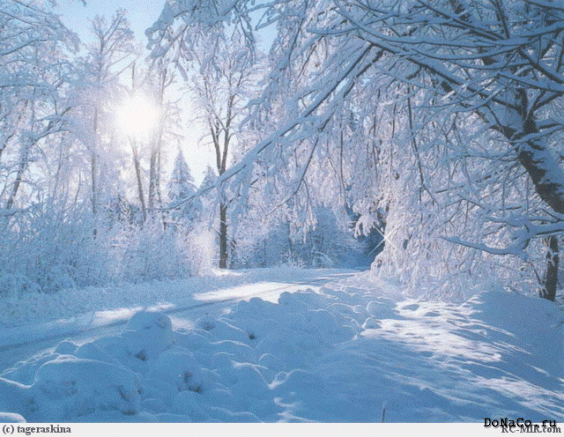 1210838932_www.blogbaster.org__22179544_1207510144_1664174_45.gif