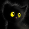 297.gif