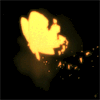 245.gif