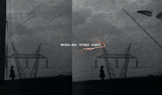 7431c0d3d554.gif