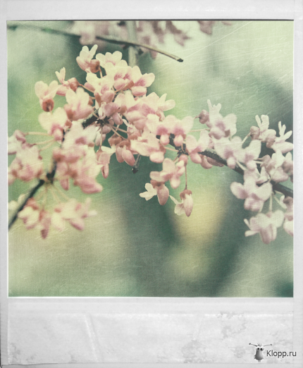 1212052303_a-4.png