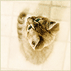 157.gif