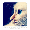 129.gif