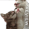 116.gif