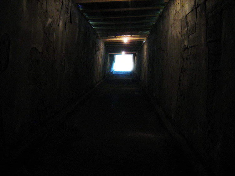 IMG_1204_resize.jpg