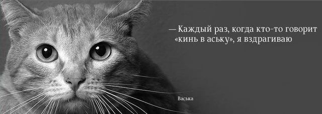 vaskaqg0.jpg