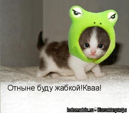 1209181773_ni.jpg