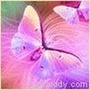 f90884-1dbc1e~2.jpg