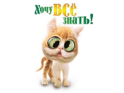 ho4u_vsjo_znat.jpg