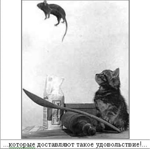 zva8.preview.jpg